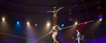 spectacle cirque